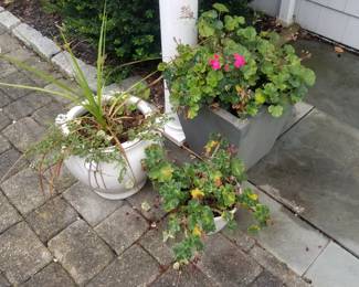 Potted plants; paving stones
