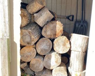 firewood, tree stumps 