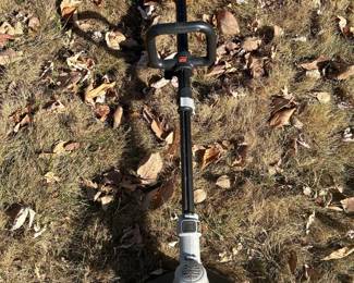 STIHL POLE pruner 