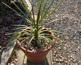 218Oct 28 2024 05 39pmB43t