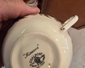 Minerva Coalport Bone China made in England