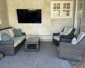 Outdoor Furniture & Rug. (TV not for sale)