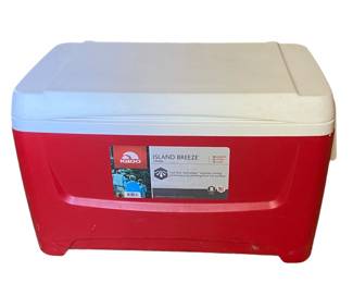 Igloo Cooler