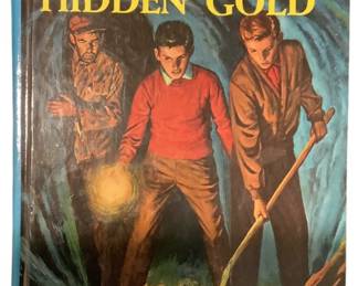 The Hardy Boys Book