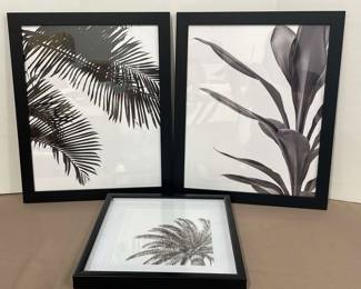 Black And White Tropical Prints, Set Of Three 