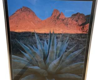 Big bend national park 22x 18 inches 