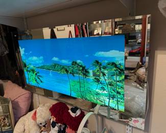 LED Light Up Motion Beach Portrait