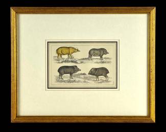 #178 • 1860's Hand Colored Lithograph Plate #VI - Wild Boar
LUX.BID