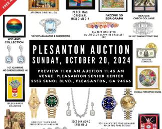 Pleasanton Auction