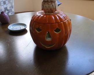 BOO!  the owl sees you