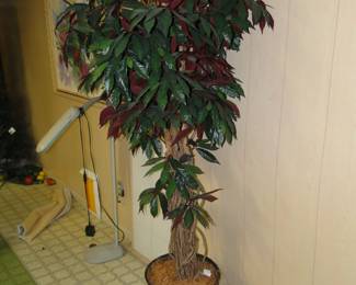 Tall faux tree