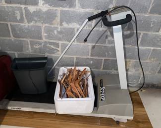 Exercise treadmill and/or ornate clothing rack 