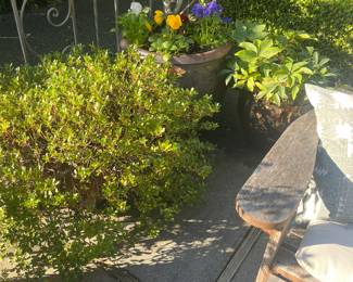 Second trio of pots for sale during in person sale hours Friday and Saturday.