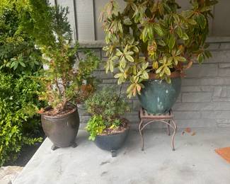 Beautiful pots for sale during in person sale hours Friday and Saturday.