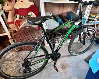One of several bikes