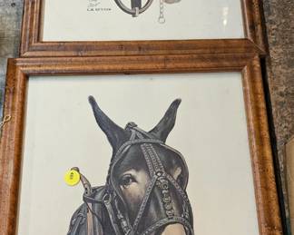 FRAME PICTURES MULES