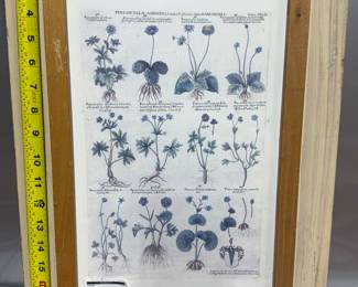 Retail $25. Our Price: $12. Botanical Print Framed Art. Vintage-style botanical illustrations in a rustic 13x19 inch wooden frame.