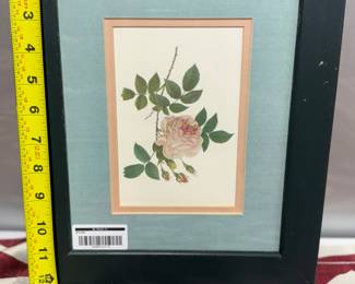 Retail $36.58. Our Price: $12. Elegant floral print featuring a delicate rose, framed in an 8x12 inch black frame with a soft green mat.