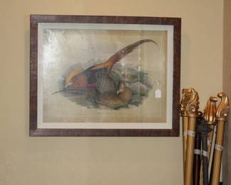 J. Gould antique bird prints