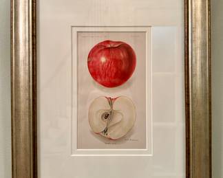 "Bennett Apple" Framed Print