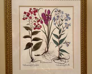 Iris Botanical Print