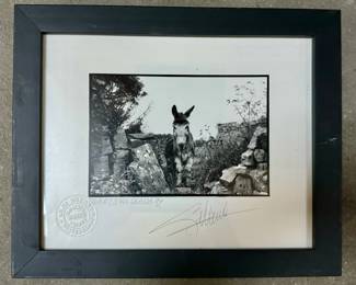 “Donkey” Signed Photograph