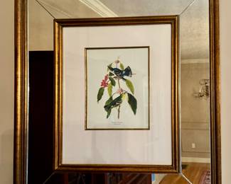 "Cerulean Warbler" Framed Mirror Botanical