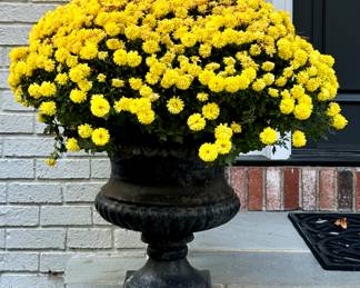 (2) Cast Iron Planters