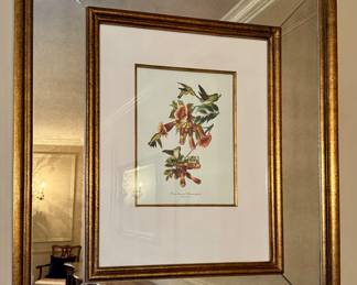 "Ruby-throated Hummingbird" Framed Mirror Botanical