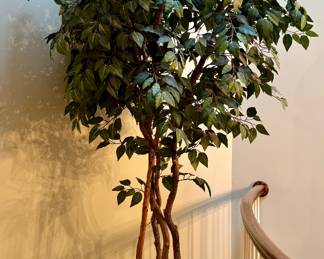 Faux Ficus Tree