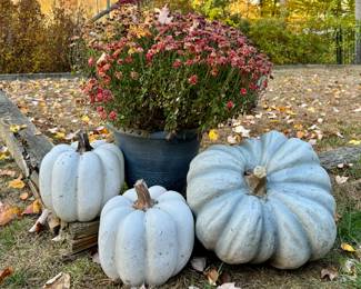Faux Pumpkins