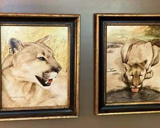 Lioness Portraits 