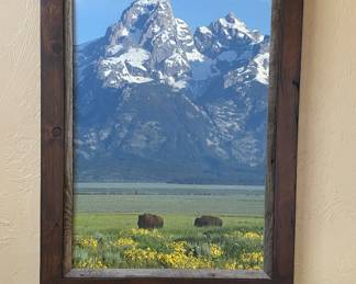 Wood Framed Photo, Bison and Grand Tetons, Wyoming 