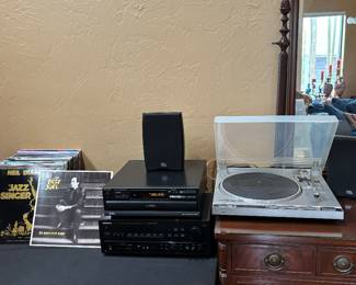Vinyl Records, CD Player. Receiver and Turntable