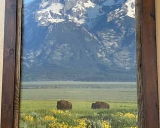 Wood Framed Photo, Bison and Grand Tetons, Wyoming 