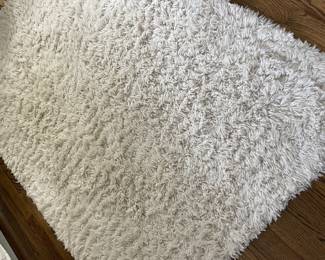 area rug