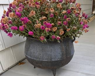 Metal  kettle, planter