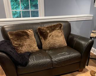 leather sofa, pillows