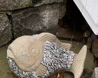 stone fish