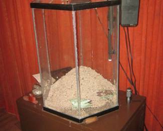 30 gallon aquarium ,no stand.