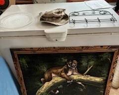 Nice freezer.  The food inside is for sale.