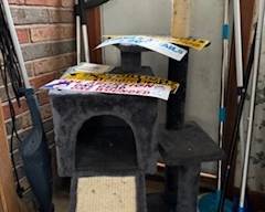 Your cats want this for Christmas!