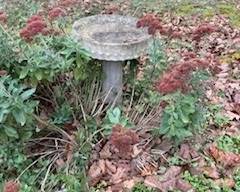 Concrete birdbath