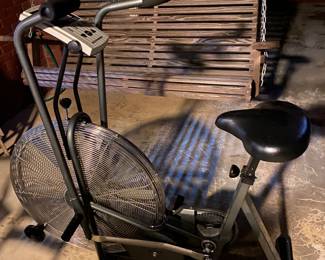 Schwann exercise bike