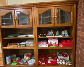 Display bookcases with lighting in glassed areas