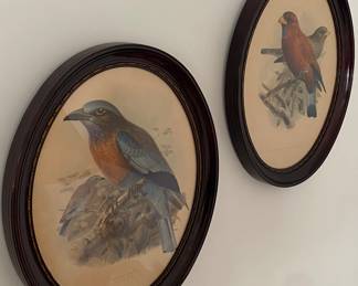 Assorted Bird Prints