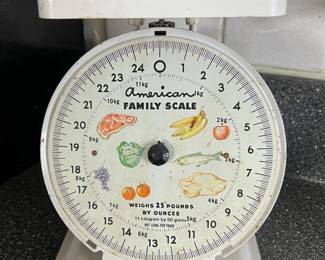 American Family scale