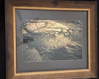 Randy Honaker, "Death Valley Sand #1", Death Valley California, 1st printing 1/78. signed on back