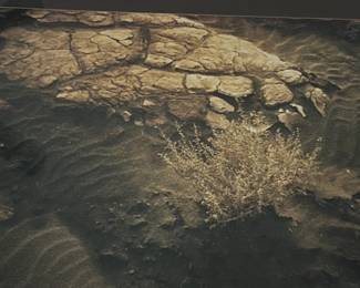 Randy Honaker, "Death Valley Sand #1", Death Valley California, 1st printing 1/78. signed on back