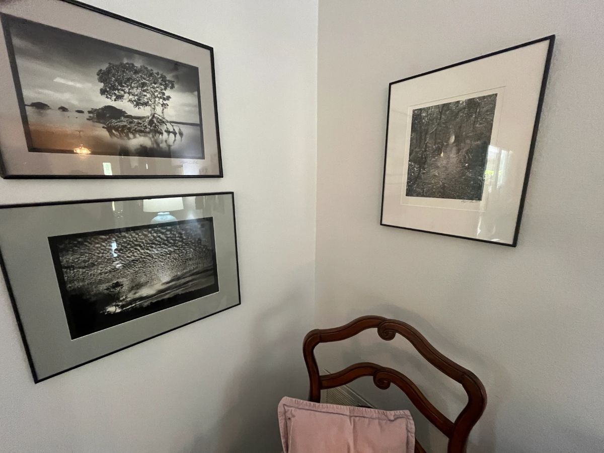 Diane's Estate Sales, New Port Richey starts on 10/18/2024